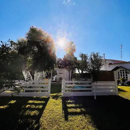 Under The Vine Garden House Apartment Platanion Exterior photo