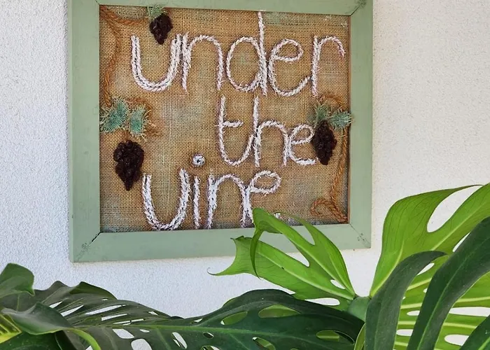 Under The Vine Garden House
