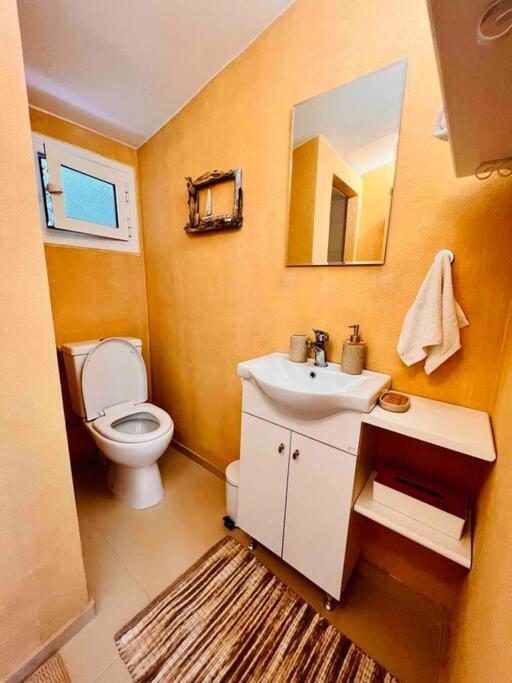 Apartment Under The Vine Garden House Platanion