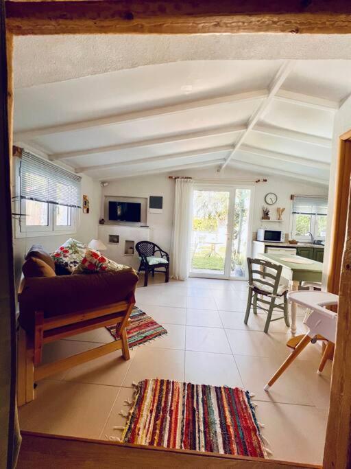Under The Vine Garden House Apartment Platanion