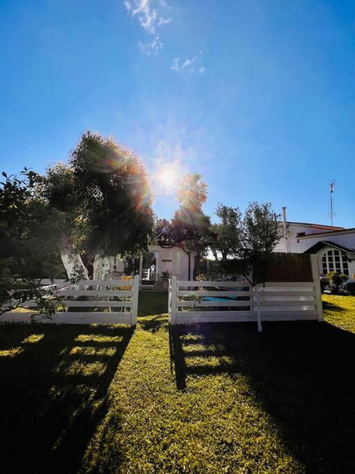 Under The Vine Garden House דירה